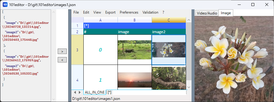 101editor screenshot